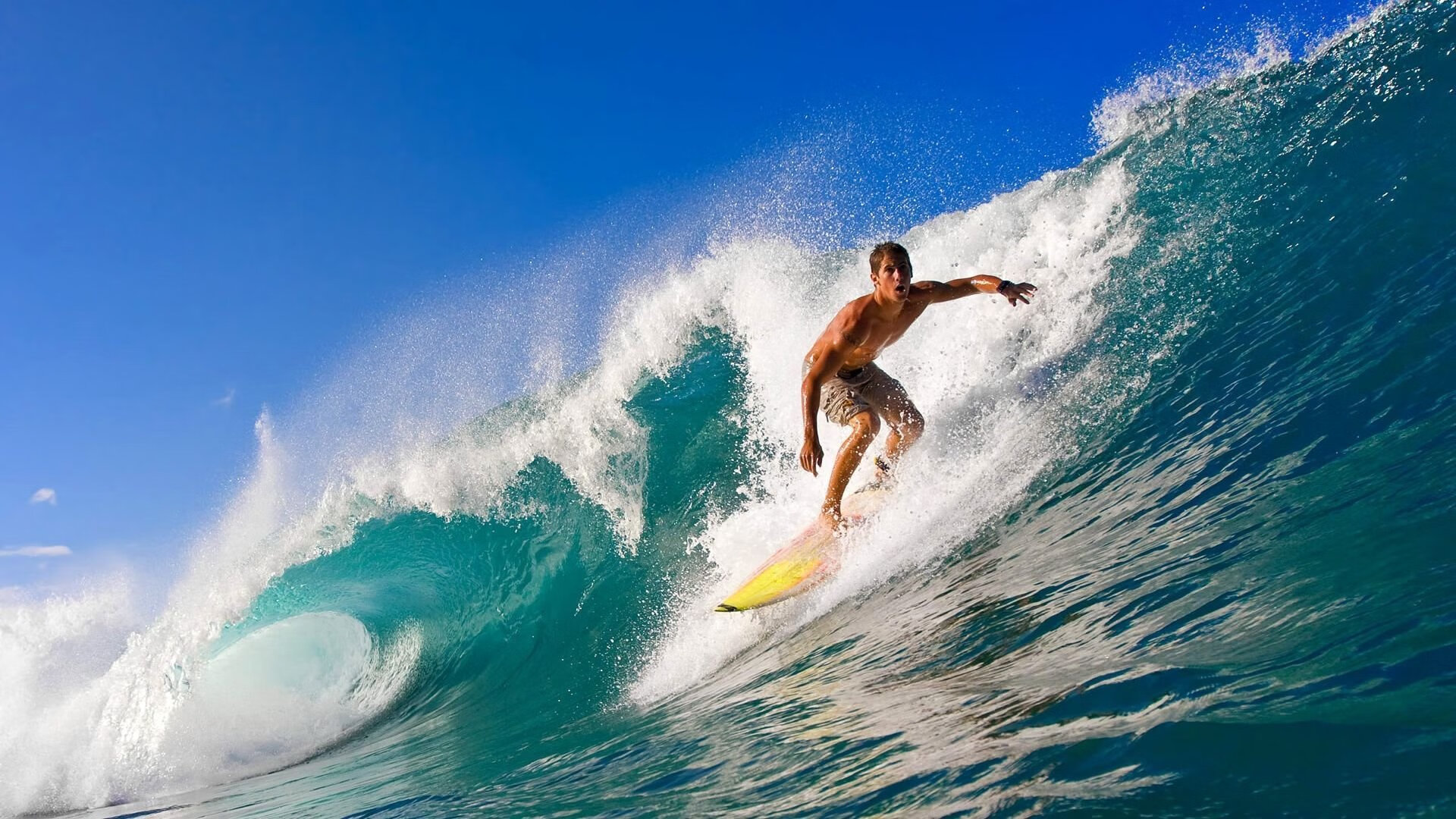 开云体育app-Chinese Taipei未来发展：在全球舞台上扬帆远航，taipei of china